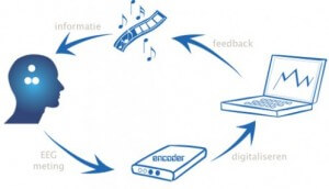 Vivonline Brain fit neurofeedback