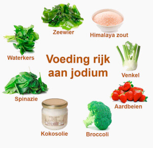 voeding-rijk-aan-jodium