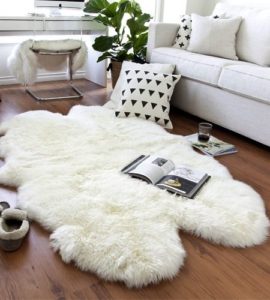 Winter accessoires interieur